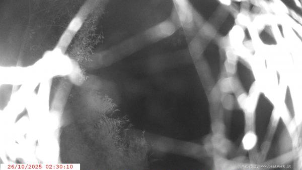 Webcam Ponte di Condino webcam Webcam Ponte di Condino