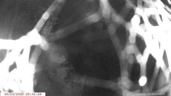 Webcam Ponte di Condino webcam Webcam Ponte di Condino