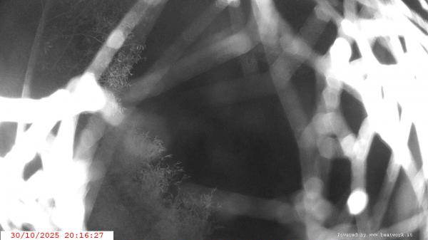 Webcam Ponte di Condino webcam Webcam Ponte di Condino