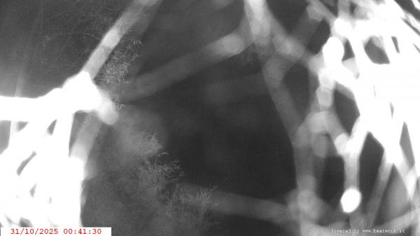 Webcam Ponte di Condino webcam Webcam Ponte di Condino