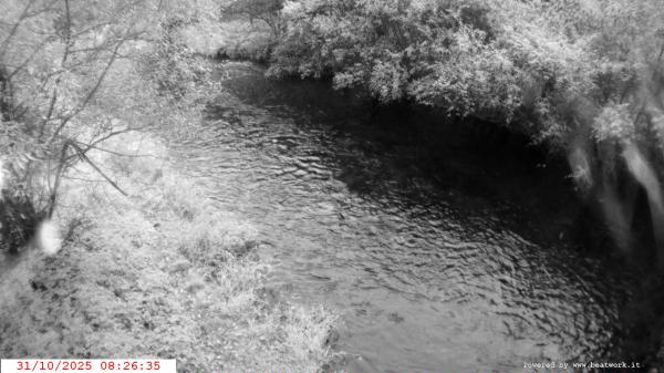 Webcam Ponte di Condino webcam Webcam Ponte di Condino