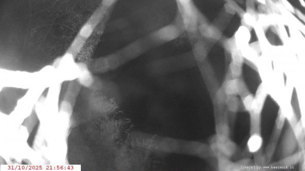 Webcam Ponte di Condino webcam Webcam Ponte di Condino