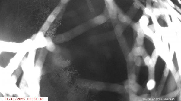 Webcam Ponte di Condino webcam Webcam Ponte di Condino