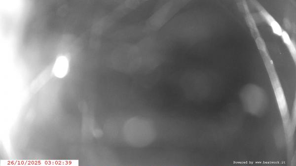 Webcam Creto webcam Webcam Creto