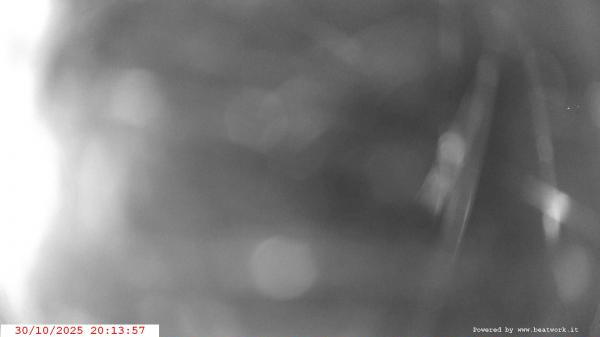 Webcam Creto webcam Webcam Creto