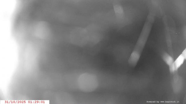 Webcam Creto webcam Webcam Creto