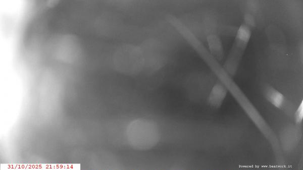 Webcam Creto webcam Webcam Creto