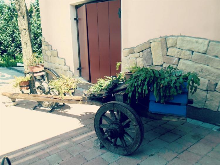 Esterno struttura