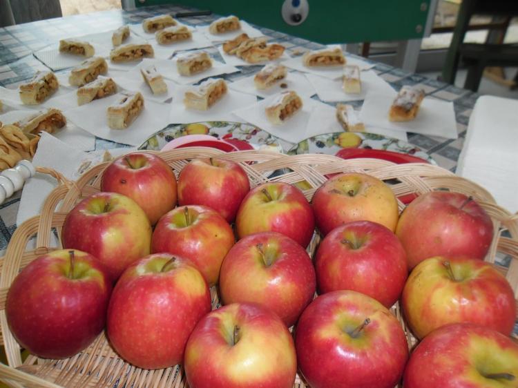 Degustazioni - fattoria didattica