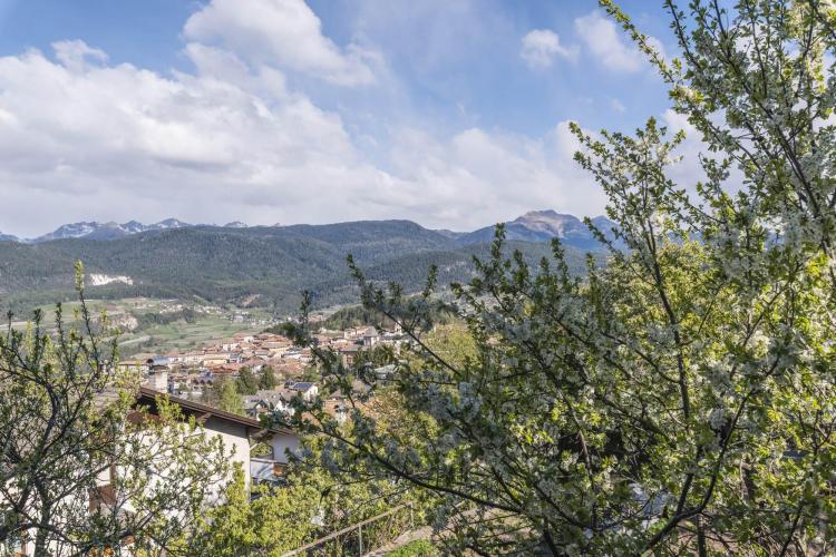 panorama stanza blumen