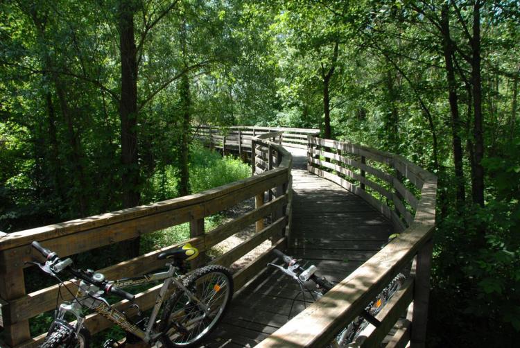 vacanze in mountain bike Valsugana Trentino
