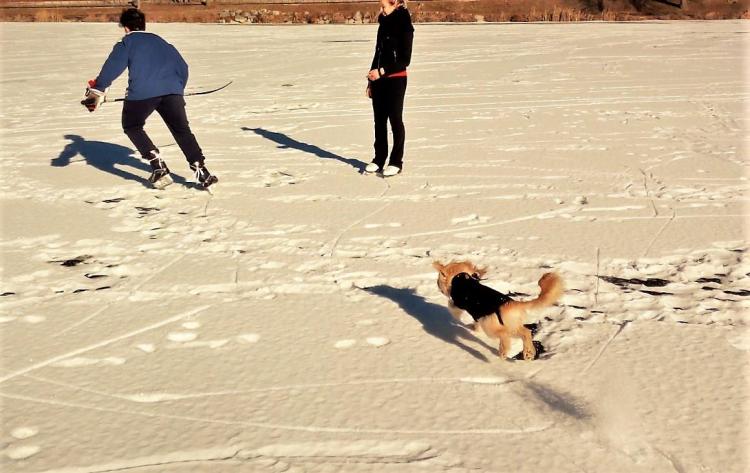 Vacanze con il cane Lago di Canzolino Valsugana