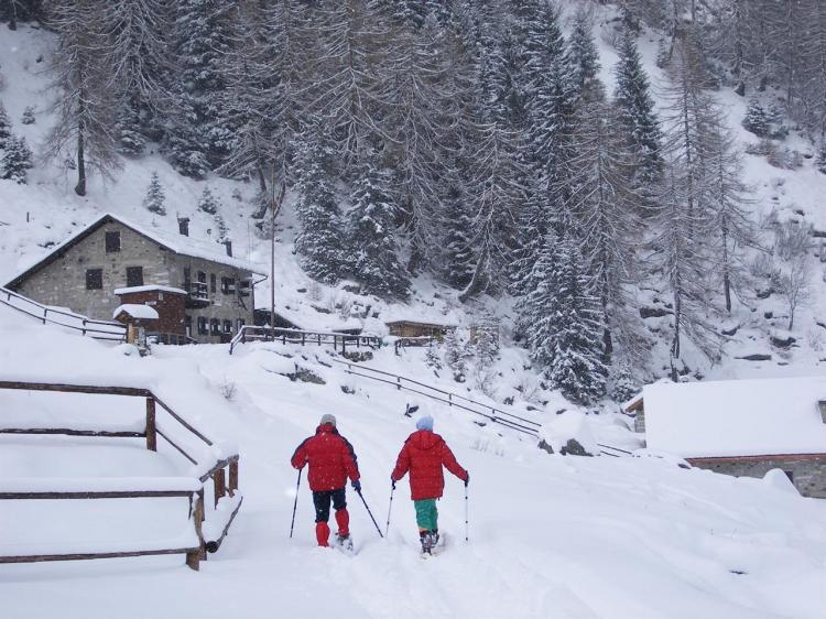 neve