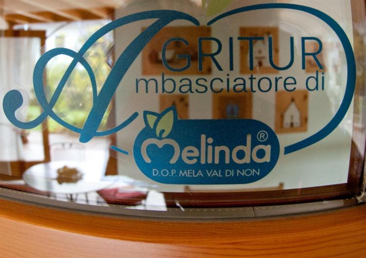 Dettaglio