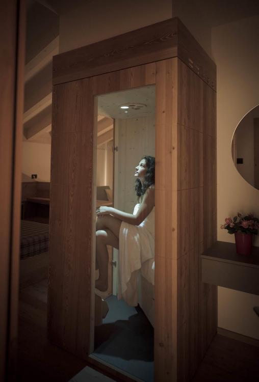 Wellness Suite - sauna