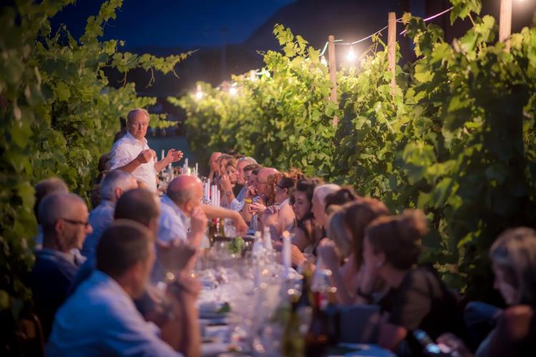 Cena in vigna