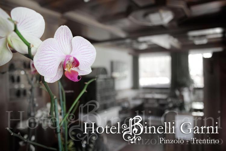 foto Hotel Binelli 018