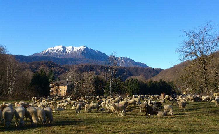 Hotel Sport autunno - Copia