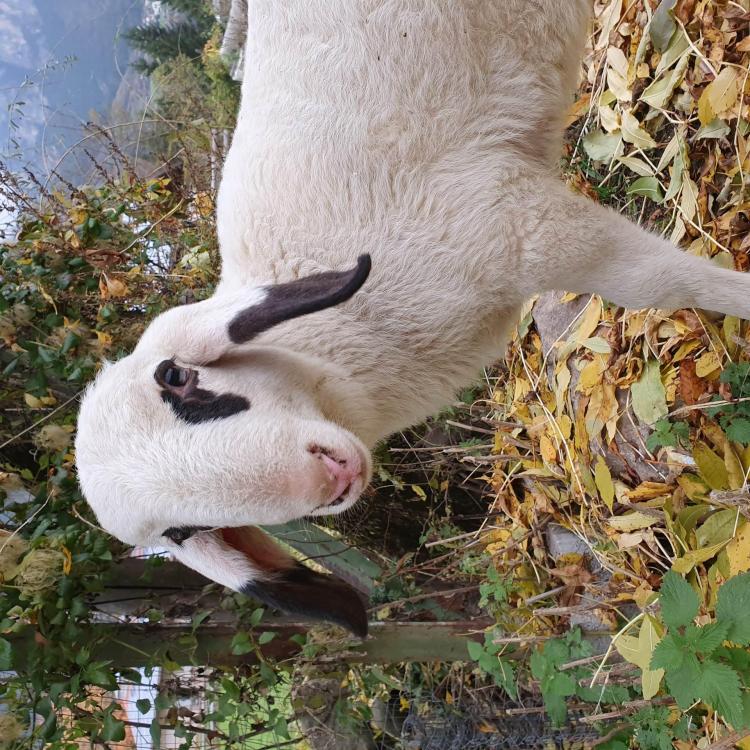 20191101_152041