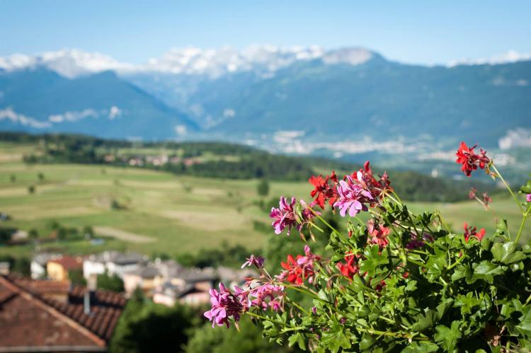 Panorama stanze rosen