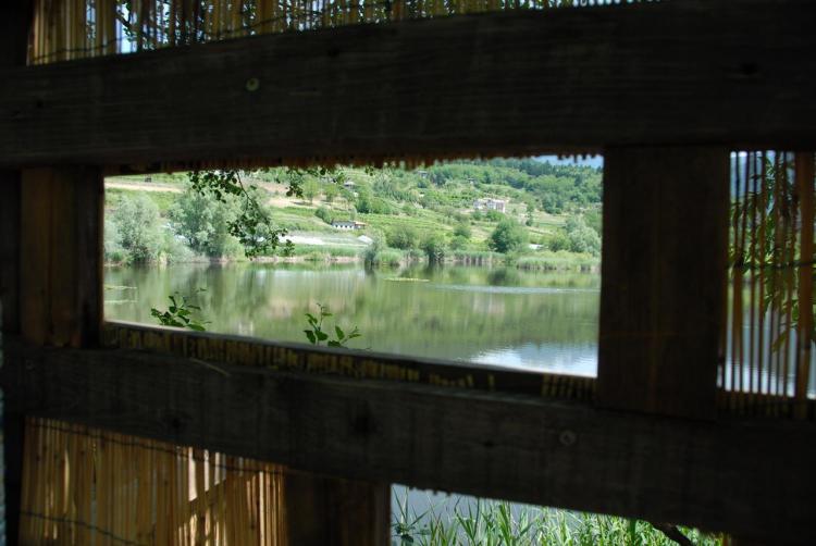 biotopo alpino passaggiate