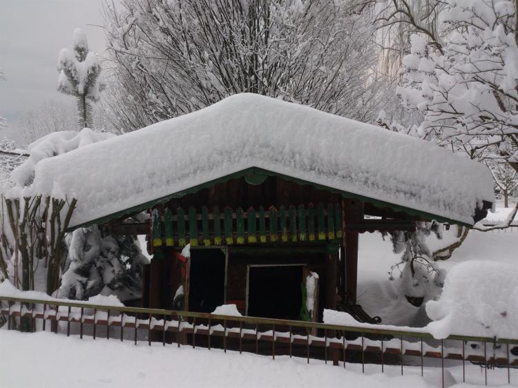 Nevicata 2013