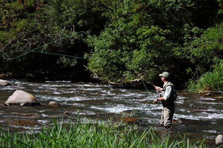 Trentino Fishing