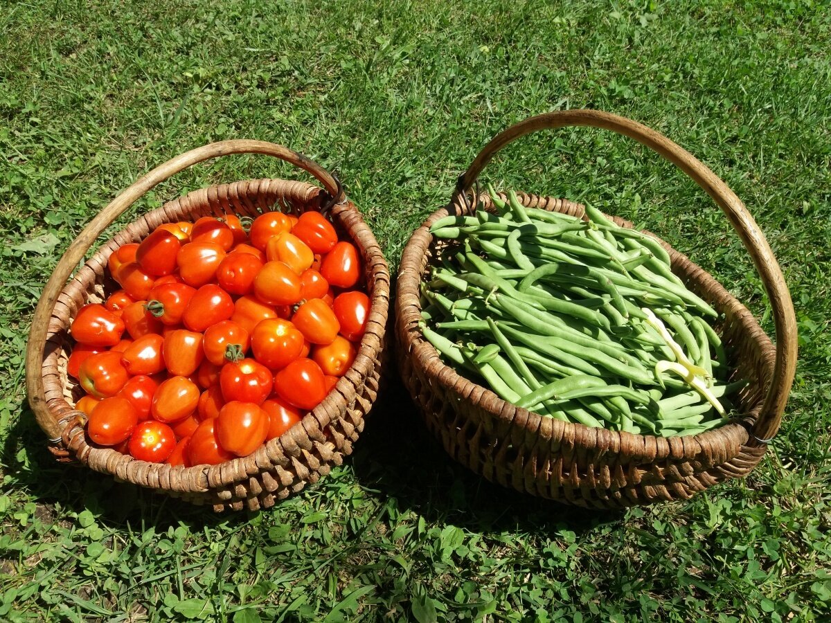 Content Dam Org 8 Images Full Rights Valle Di Ledro Gusto Apt Garda Az Agricola Beretta5