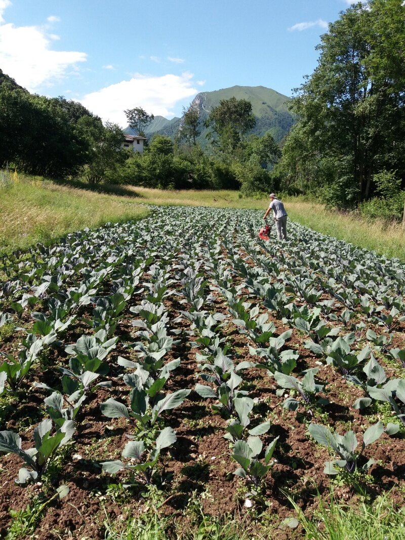 Content Dam Org 8 Images Full Rights Valle Di Ledro Gusto Apt Garda Az Agricola Beretta4