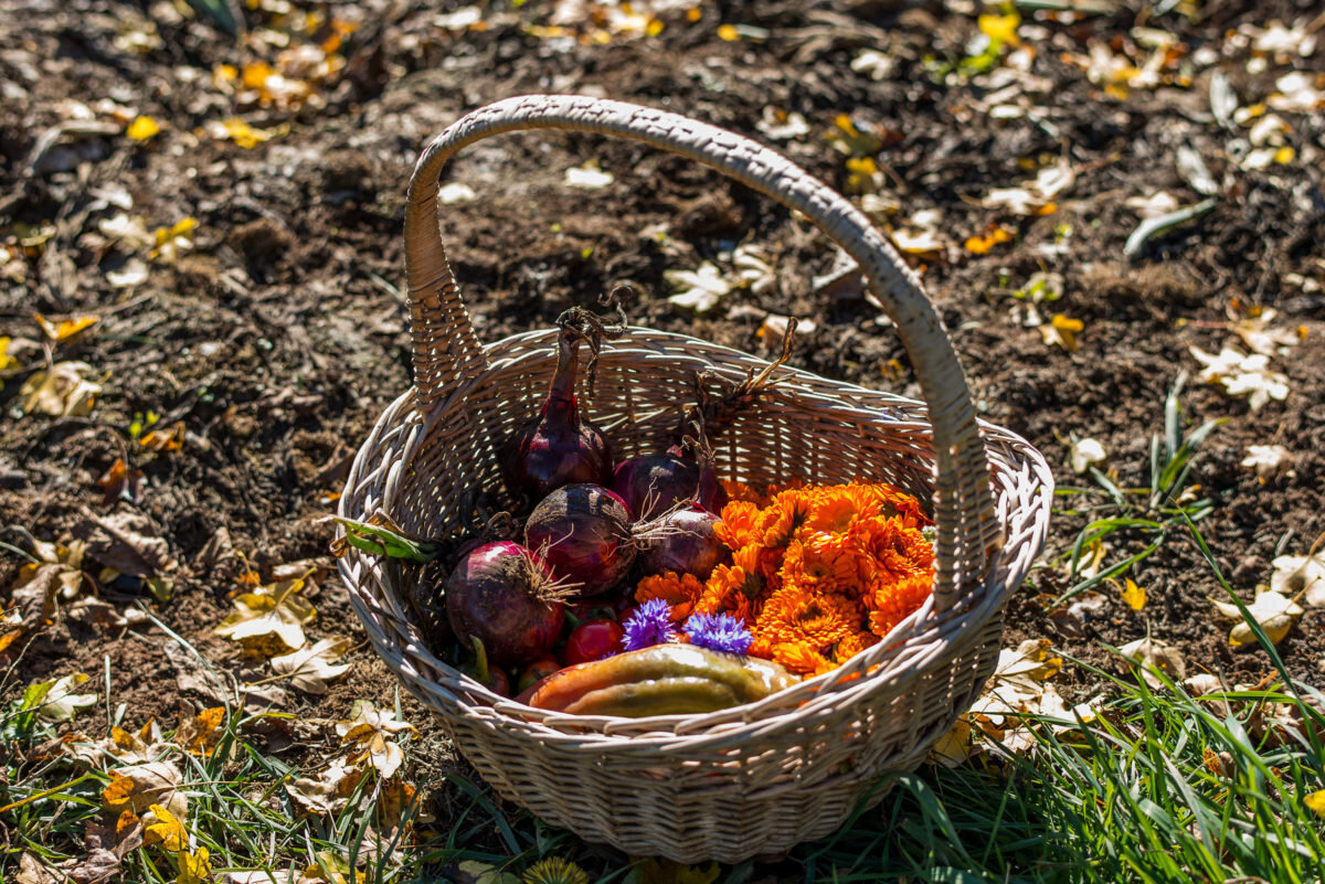 Content Dam Org 10 Images Full Rights Shopping Azienda Agricola Maso Giomo