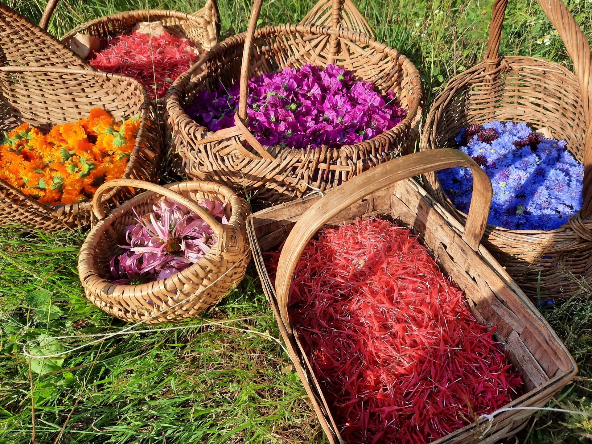Content Dam Org 11 Images Full Rights Shopping Azienda Agricola Petalis Denno Apt Val Di Non Strada Della Mela1