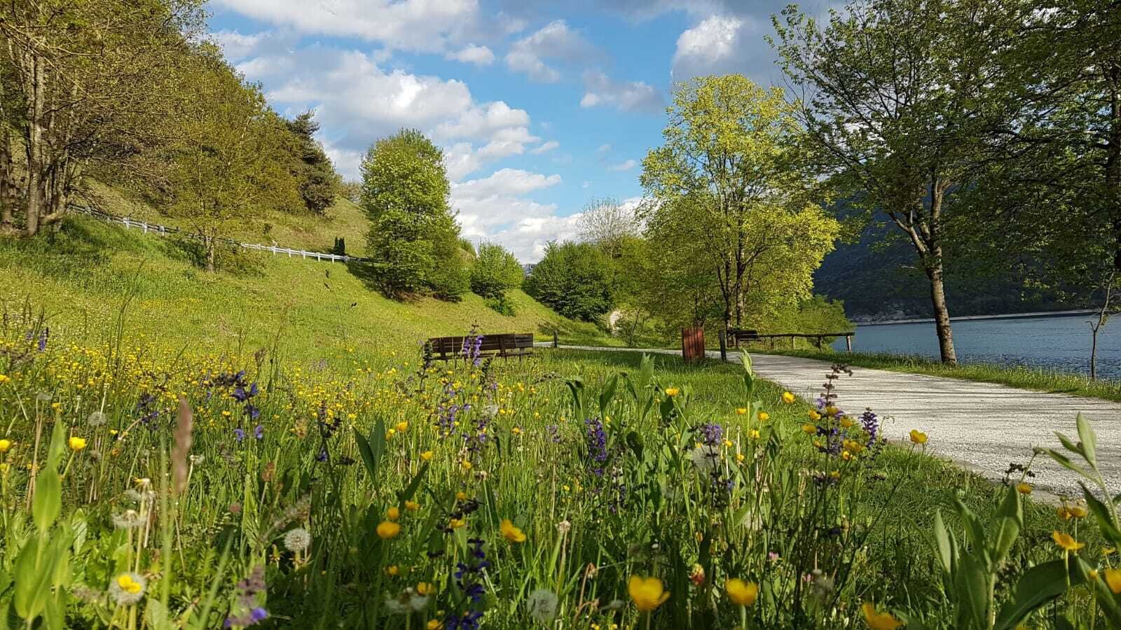 Content Dam Org 8 Images Full Rights Valle Di Ledro Outdoor Apt Garda Beach Bike 3