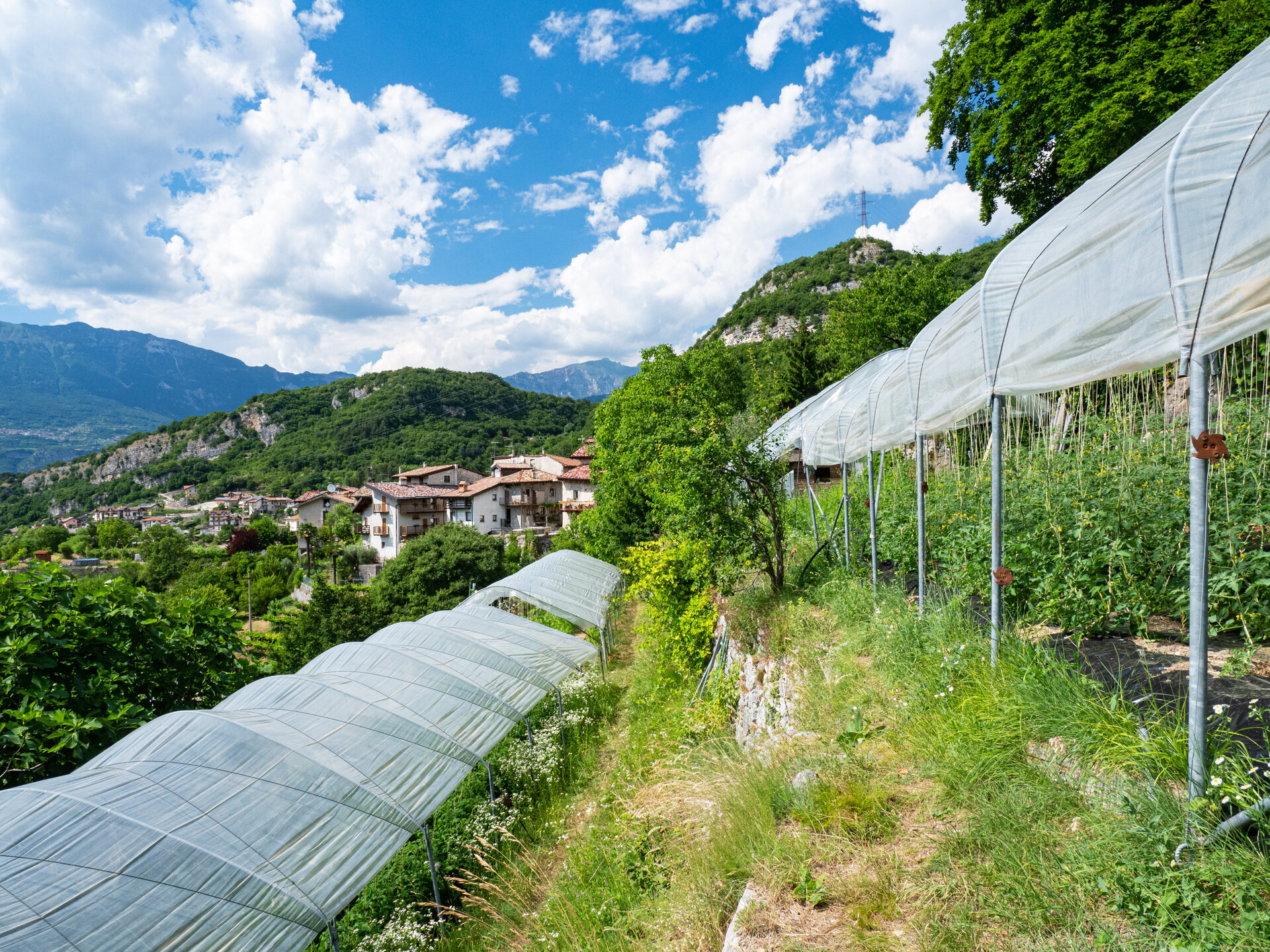 Content Dam Org 0 Images Full Rights Miste Marco Simonini 7020232