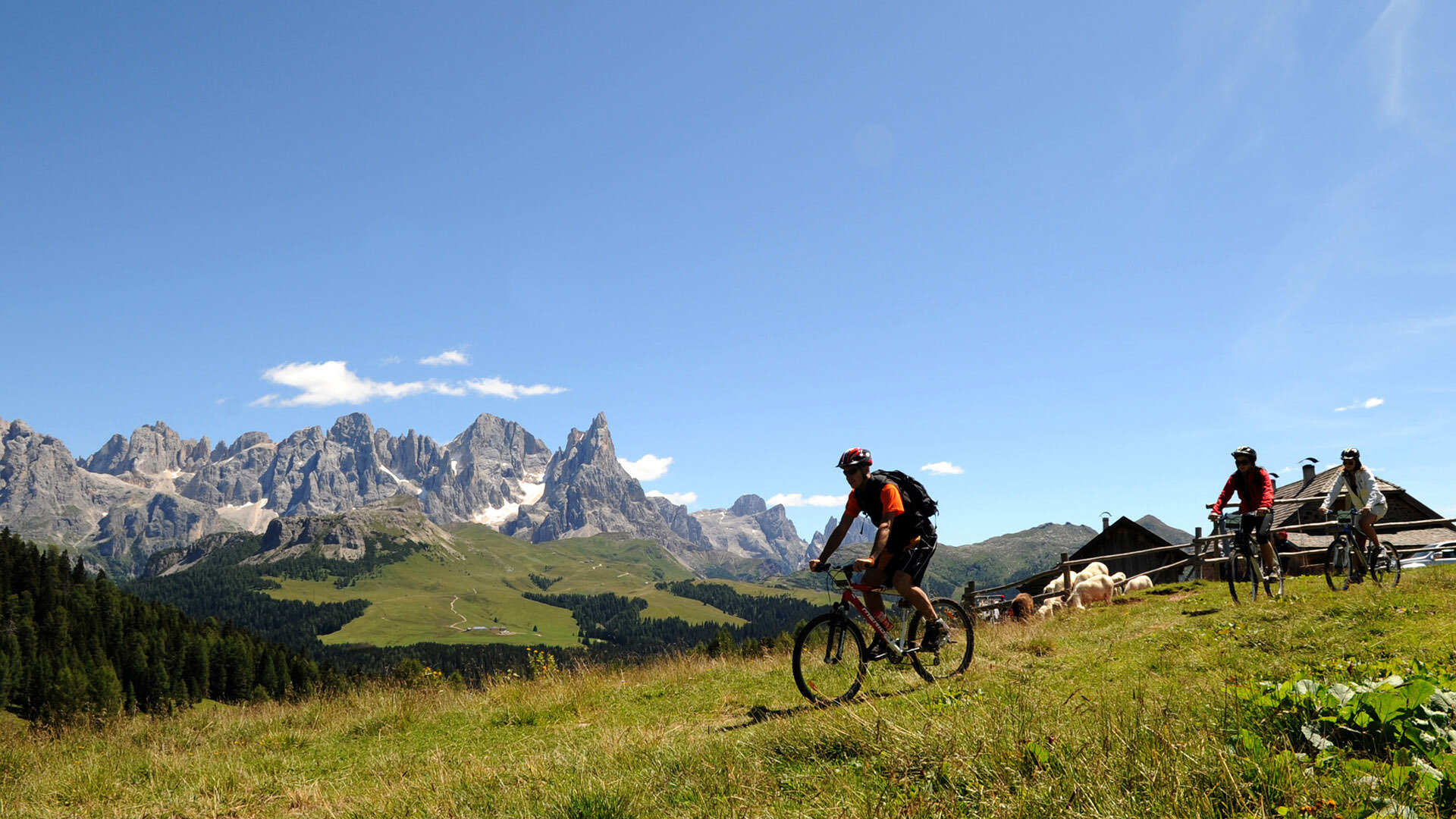 Content Dam Org 1 Images Full Rights Servizi Noleggio Bike Noleggio Mattioli Bellamonte