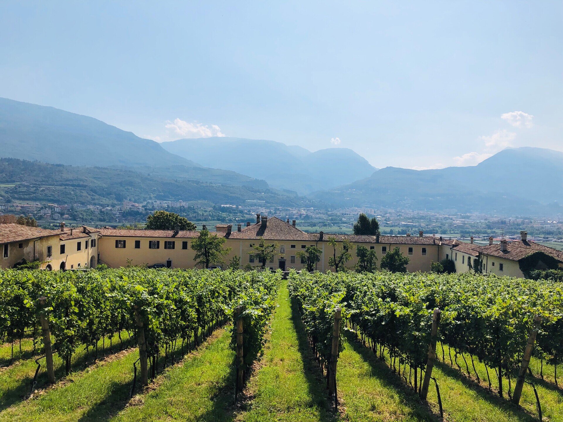 Content Dam Org 10 Images Full Rights Gusto Vigne Palazzo Lodron