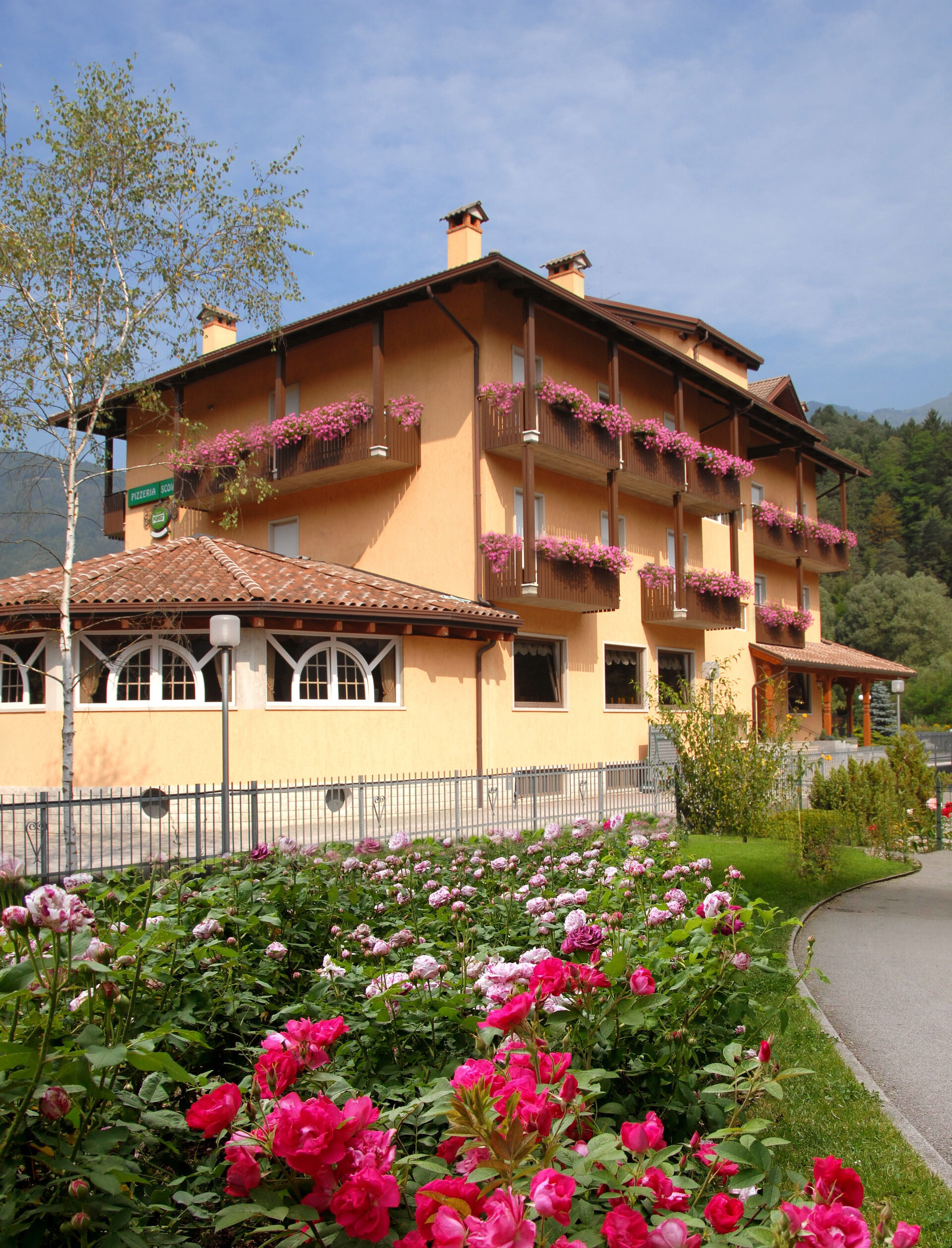 Content Dam Org 8 Images Full Rights Terme Di Comano Dolomiti Di Brenta Gusto Aptcomano Scoiattolo