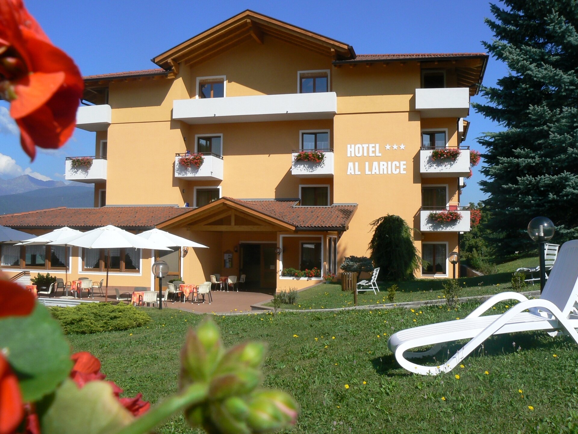 Content Dam Org 11 Images Full Rights Gusto Ristorante Al Larice Ronzone Apt Val Di Non 1
