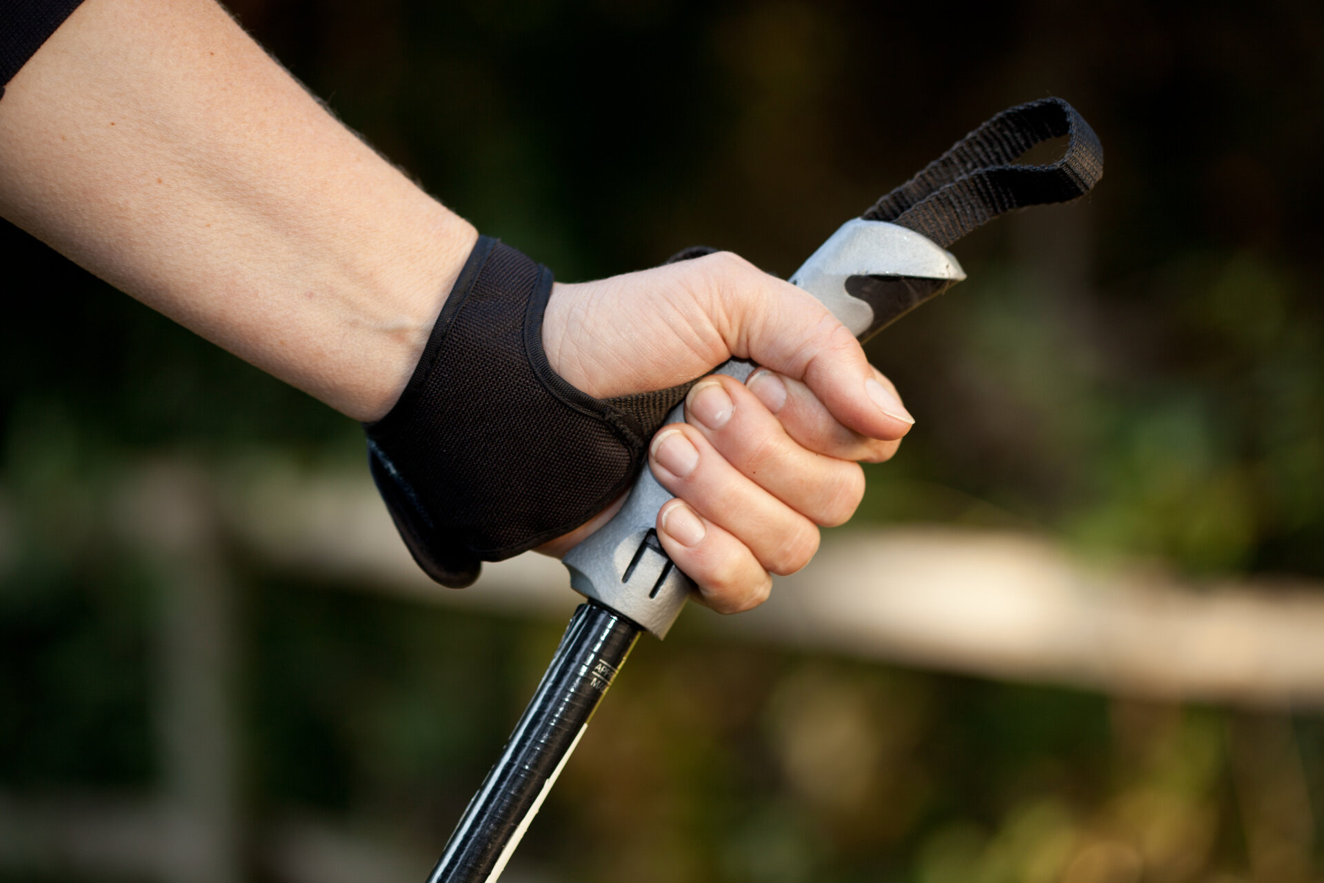 Content Dam Org 0 Images Full Rights Servizi Adobestock 26639002 Copertina Noleggio Bastoncini Nordic Walking