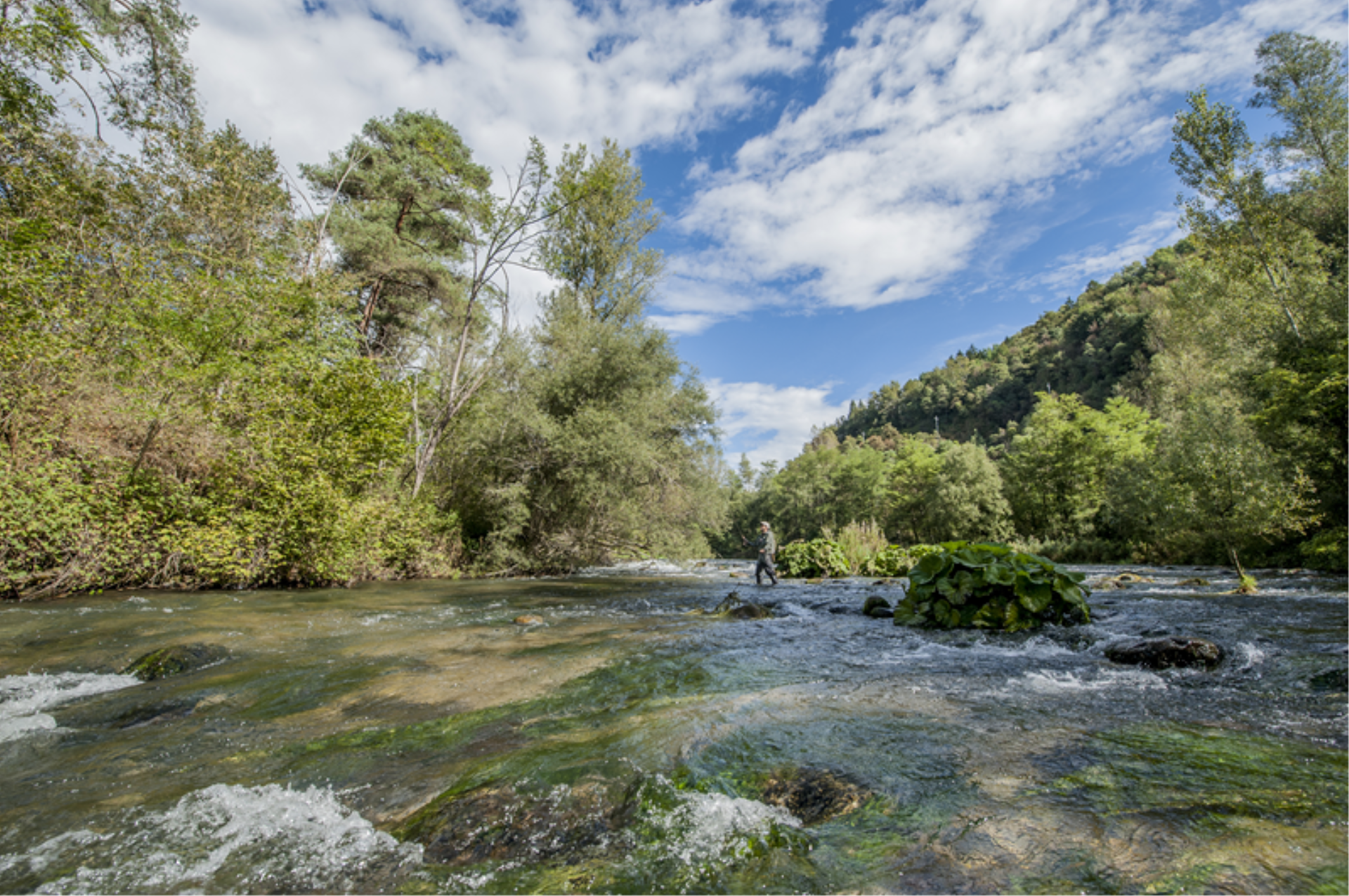 Tuenno-Tovel Anglers Sports Group