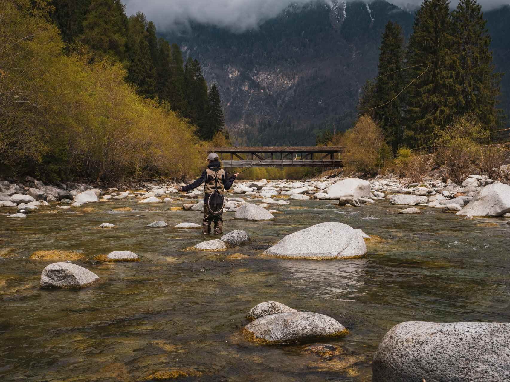 Gold Fishing Pass