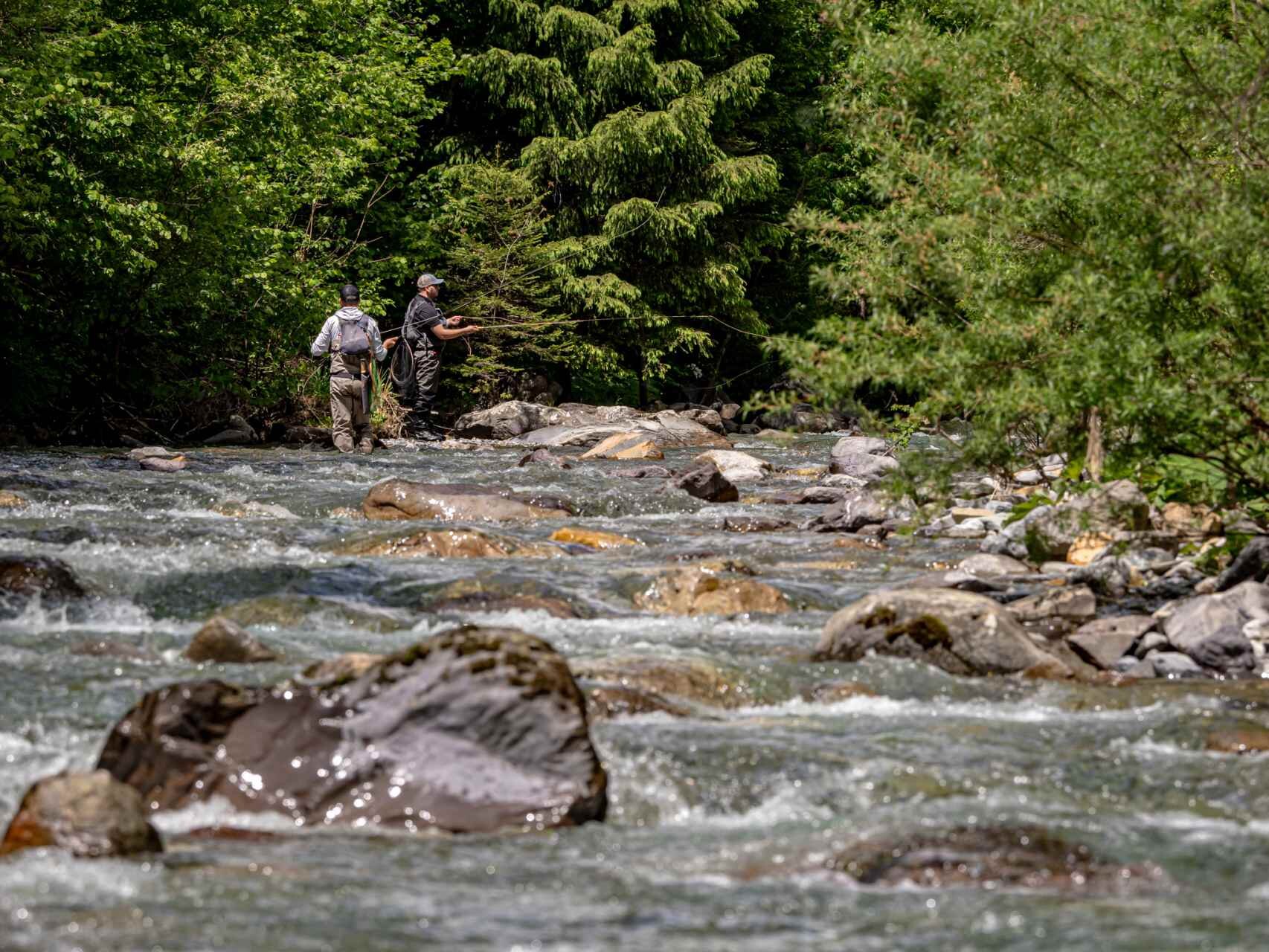 C Trentino Marketing Alberto Zanghieri Trentino Fishing Val Genova E Fiume Chiese Giugno 2024 00018