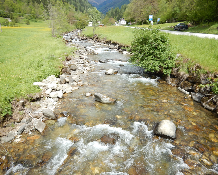 Fiume Noce - Zone ZT  