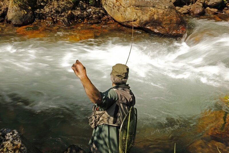 Vermigliana Stream - NK3