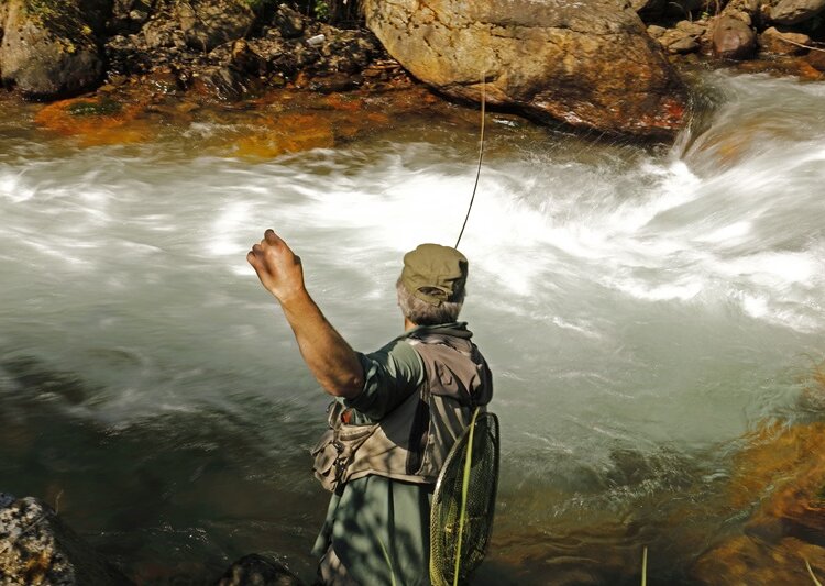 Vermigliana Stream - NK3