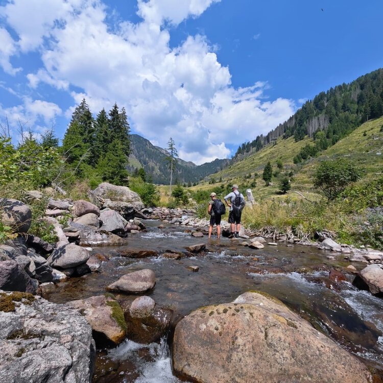 Vanoi Torrent – NK2