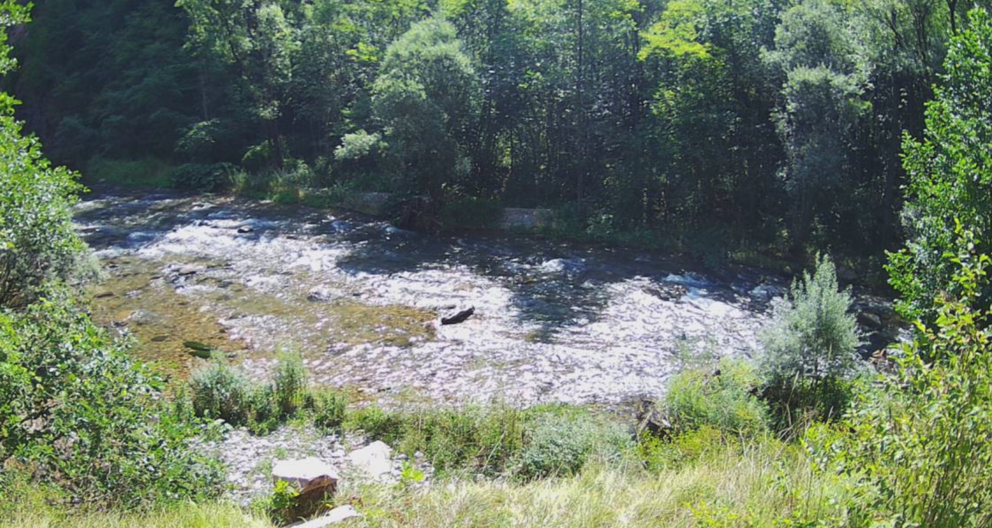 Val Di Non Noce